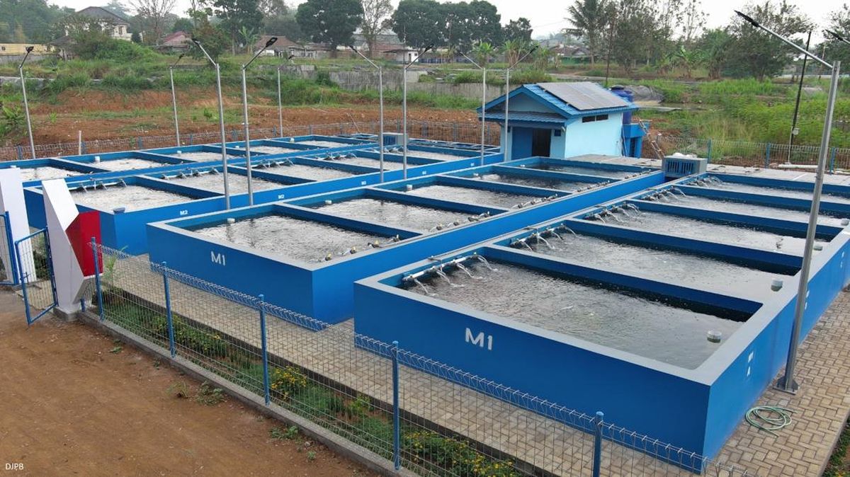 KKP Kembangkan Budi Daya Ikan di 76 Lokasi di Yogyakarta