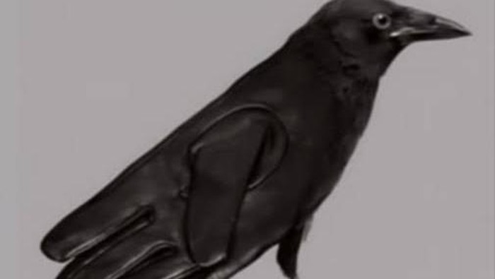 Tes Kepribadian: Burung Gagak atau Sarung Tangan yang Pertama Dilihat Ungkap Kekuatan Tersembunyi