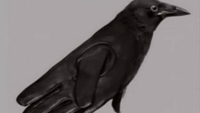 Tes Kepribadian: Burung Gagak atau Sarung Tangan yang Pertama Dilihat Ungkap Kekuatan Tersembunyi