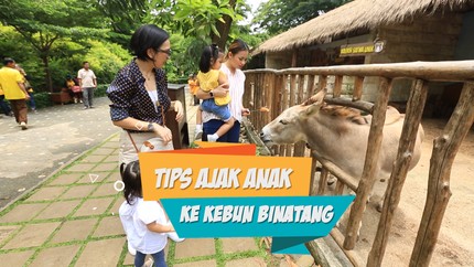 Senangnya Ajak Anak ke Kebun Binatang