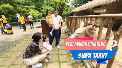 Detik Network
