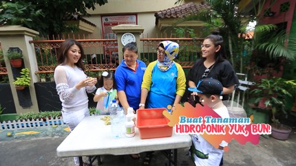 Cara Mudah Bikin Tanaman Hidroponik