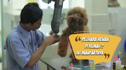 Ini Dia Manfaat Memiliki Hewan Peliharaan bagi Anak