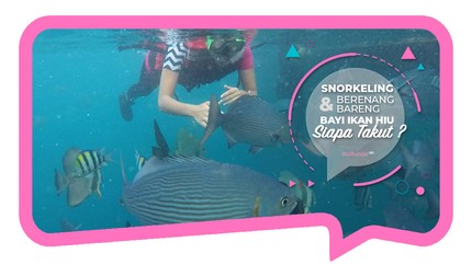 Berenang Bareng Bayi Hiu, Siapa Takut?