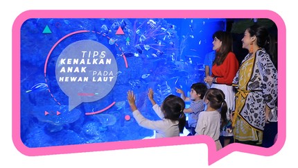 Tips Kenalkan Anak dengan Hewan Laut