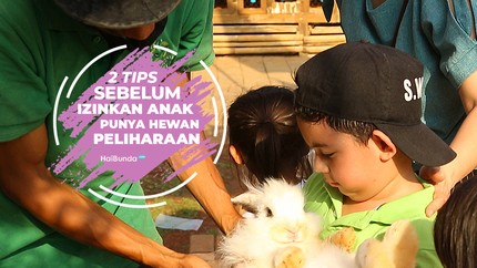 2 Tips Sebelum Izinkan Anak Punya Hewan Peliharaan
