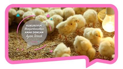Detik Network
