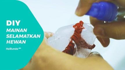 Yuk, Ajak Si Kecil Selamatkan Hewan!