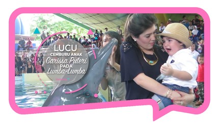 Lucu, Cemburu Anak Carissa Puteri pada Lumba-lumba