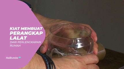 Kiat Membuat Perangkap Lalat dari Perlengkapan Rumah
