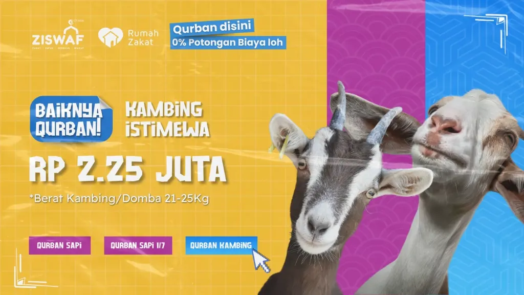 Baiknya Qurban #Kurbanseru2025 Kambing istimewah