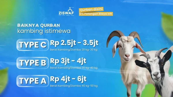 KAMBING ISTIMEWAH - PROGRAM BAIKNYA QURBAN ZISWAF CTARSA